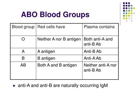 Blood Type Anti A Anti B - Blood Type Info