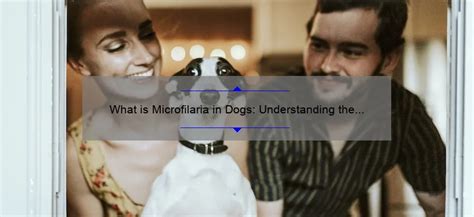 Understanding Microfilaria in Dogs: Symptoms, Treatment, and Prevention