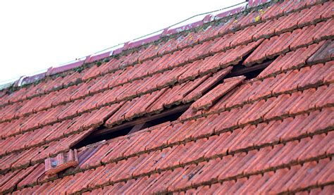 Wind Damage Roof: Should You Repair on Your Own?