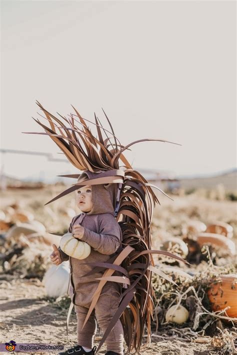 Baby Porcupine Costume | Easy DIY Costumes - Photo 3/8