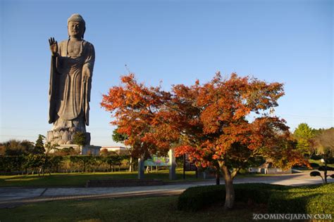 One of the World's Tallest Statues: Ushiku Daibutsu