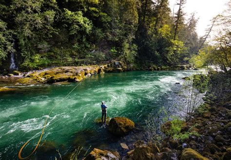 Umpqua River - Oregon Coast Visitors Association