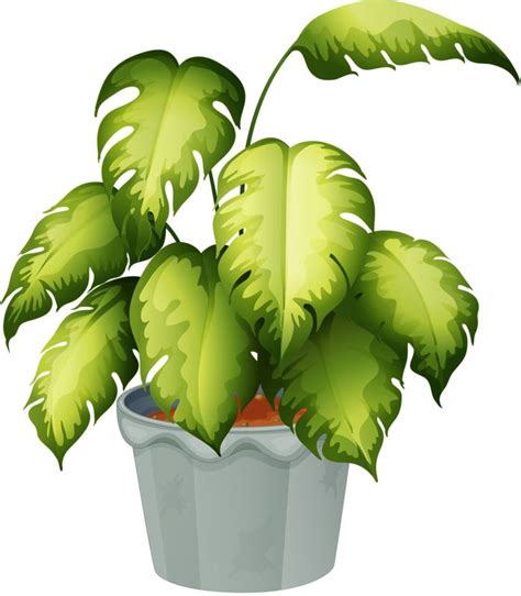 1000+ images about CLIP ART - POTTED PLANTS - CLIP ART on Pinterest | Clip art, Videos and ...