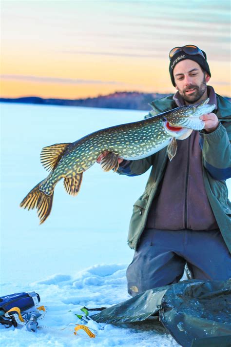 Ice Fishing in Sweden for Pike, Zander & Perch - Fishing-in-Sweden.com