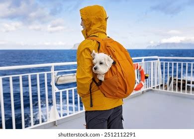 Family Kids Dog Traveling Ferry Moskenesoya Stock Photo 2512112299 | Shutterstock