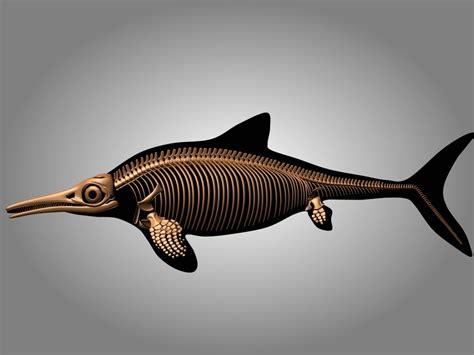 Ichthyosaurus skeleton 3D - TurboSquid 1228832