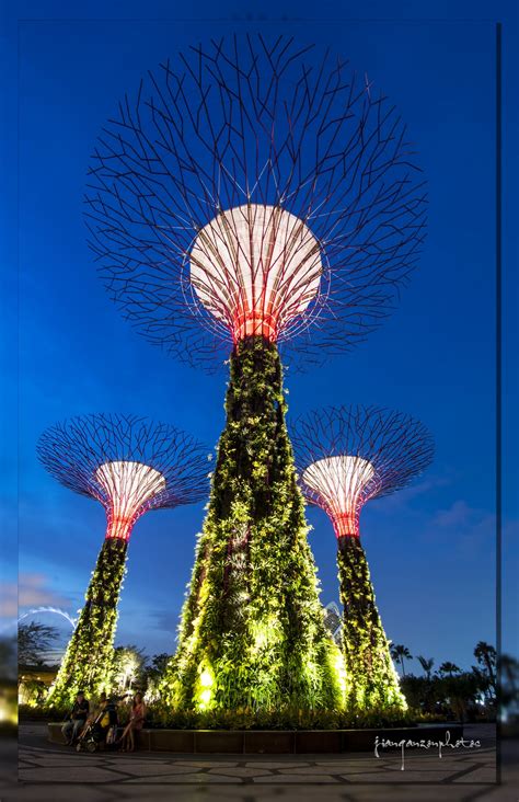 Singapore Supertrees – Mother Nature Beautifies Urban Sprawl | Bonsai ...