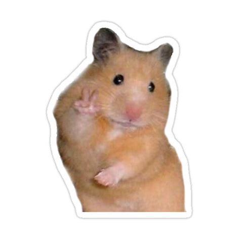 Peace Hamster Meme Sticker in 2021 | Hipster stickers, Meme stickers, Cool stickers