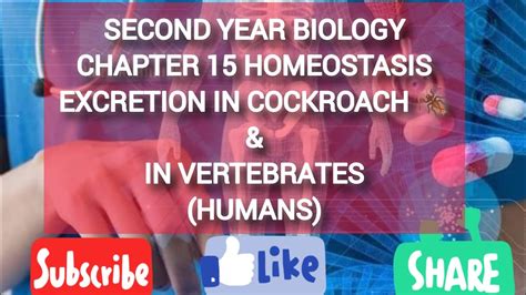 EXCRETION IN COCKROACH, VERTEBRATES(HUMANS)#biology #homeostasis# ...