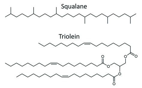 Chemical structures of the oils squalane and triolein. | Download Scientific Diagram