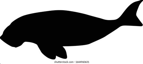 Dugongs Images, Stock Photos & Vectors | Shutterstock