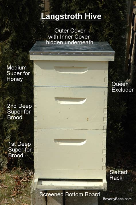 How To Set Up A Beehive Video - A Beginner Beekeeper's Guide | Bee ...