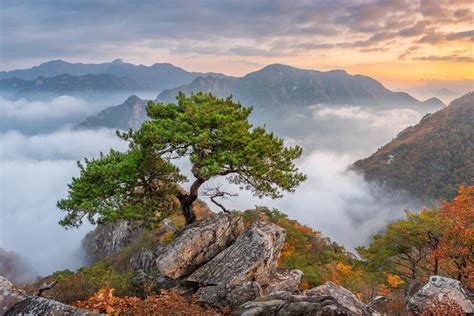 Bukhansan National Park Seoul South Korea Bukhansan National Park ...