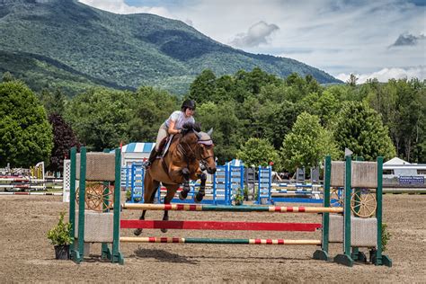 Vermont Summer Festival Horses | Mobilus In Mobili | Flickr