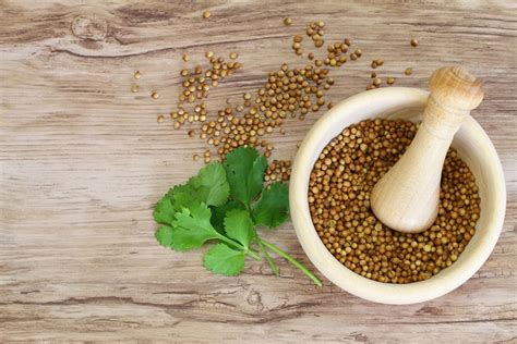 Health Benefits Of Coriander Seeds Water - health benefits