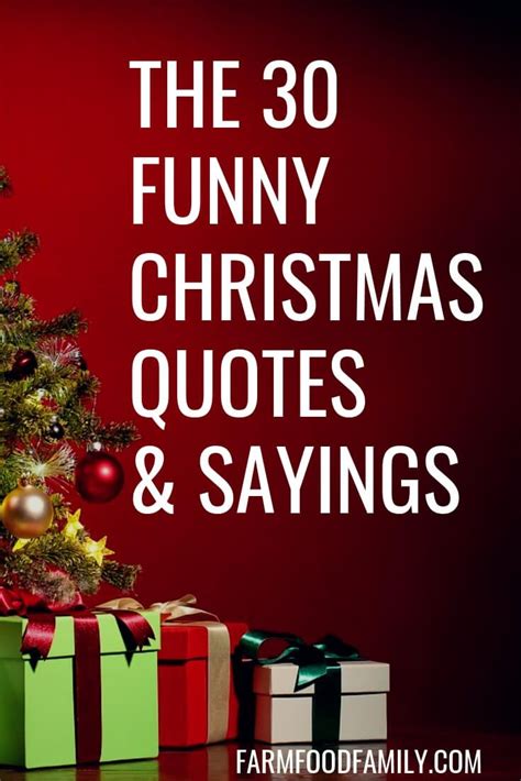 30+ Funny Christmas Quotes & Sayings That Make You Laugh | Christmas ...