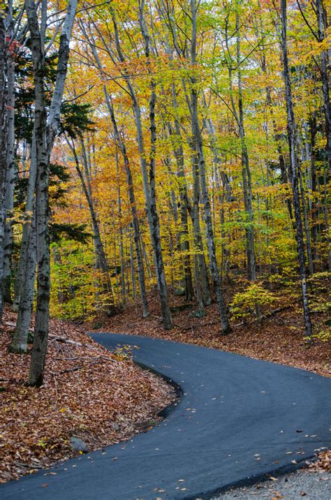 White Mountains Fall Foliage 122 by FairieGoodMother on DeviantArt