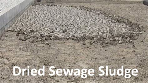 What is Sewage Sludge? Wastewater Treatment Sludge Biosolids