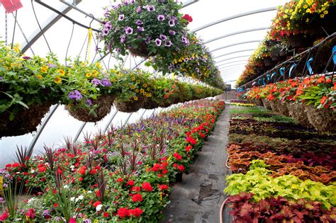 Plant Nursery Supplier Malaysia | Garden Landscape Contractor