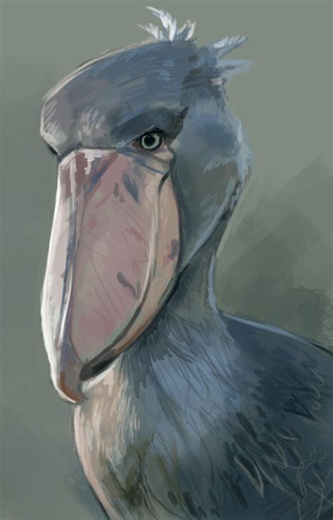 Shoebill speedpaint by LuckyLemontina on DeviantArt