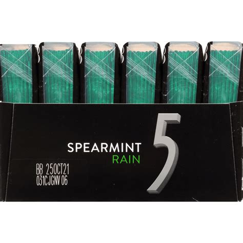 5 Gum, Sugar Free, Spearmint Rain (6 each) - Instacart