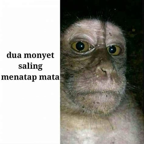 10 Meme Kocak yang Sebenarnya Jebakan! Awas Kesal!