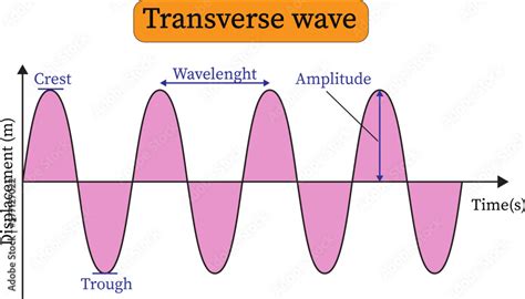 transverse wave presentation . Crest, trough, wavelength and amplitude ,vector illustration ...