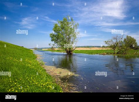 Stolpe, Germany, view over the Oder River in the Lower Oder Valley National Park Stock Photo - Alamy