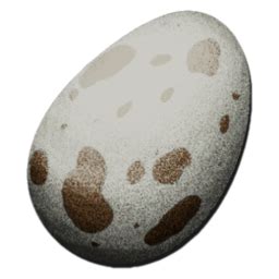 Dodo Egg - Official ARK: Survival Evolved Wiki