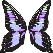 Butterfly Wings PNG - PNG All | PNG All