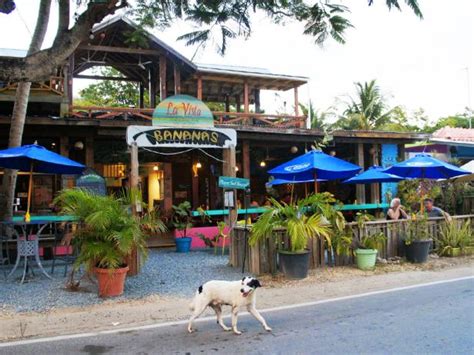 Things to Do on Vieques Island : Puerto Rico : TravelChannel.com ...