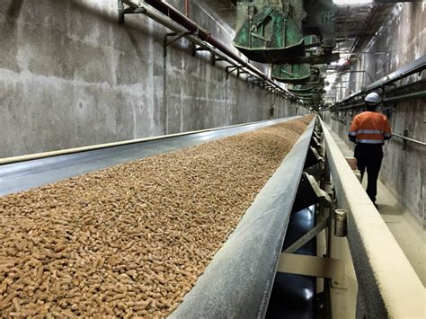 Wood pellet exports fuel port growth – Bundaberg Now
