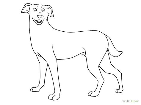 Free Simple Line Drawing Of A Dog, Download Free Simple Line Drawing Of ...