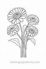 Free Printable Zinnia Coloring Pages For Kids sketch template