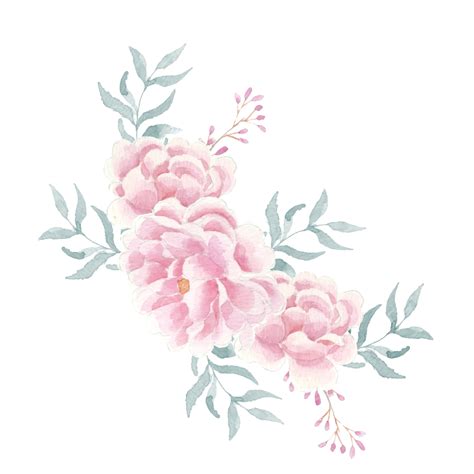 Soft Pastel Pink Peonies And Rose Watercolor Flowers, Wedding, Decor, Flowers PNG Transparent ...