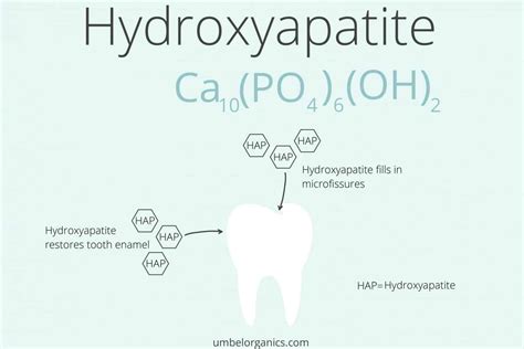 The Best Hydroxyapatite Toothpaste - Umbel Organics