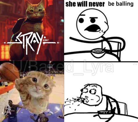 Cat from Stray is Balling : stray