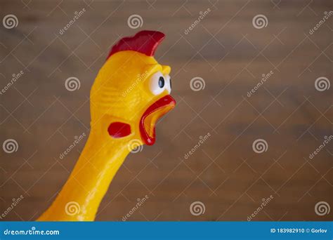 Image of Toy Rubber Chicken Stock Photo - Image of humour, humorous: 183982910