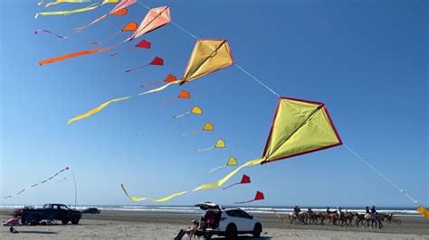 World's biggest kite store is on Washington's coast | king5.com