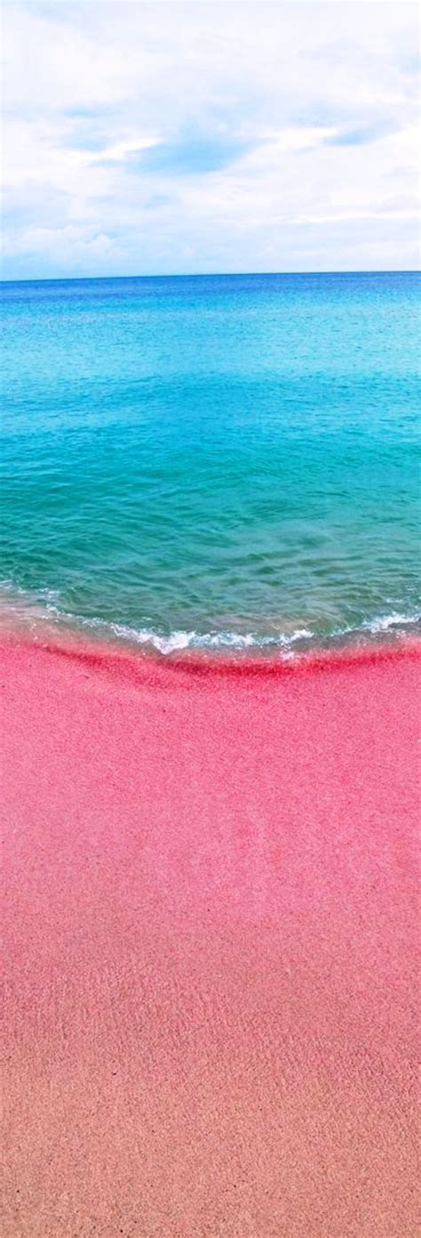 Pink Sands Beach in the Bahamas is one of the most spectacular and unusual beaches in the world ...