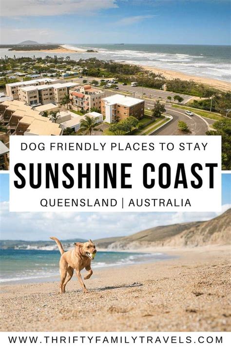 The Best Sunshine Coast Dog Friendly Accommodation (& Kid Friendly ...