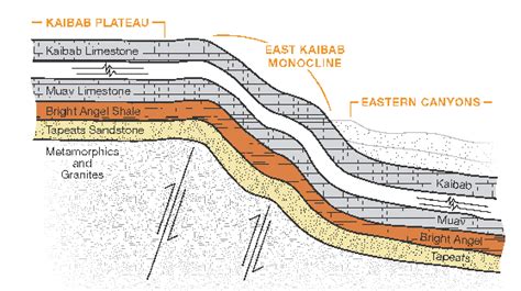 Bent Rock Layers | Answers in Genesis