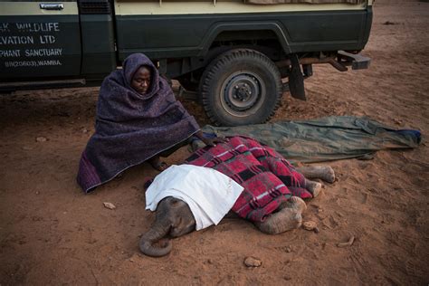 Warriors Who Once Feared Elephants Now Protect Them