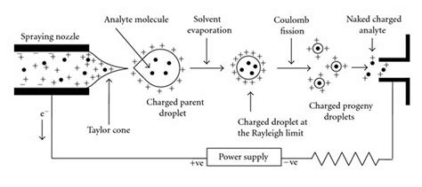 Popular Ionization Techniques in Mass Spectroscopy