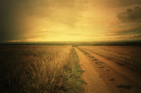 Road In A Field Free Stock Photo - Public Domain Pictures
