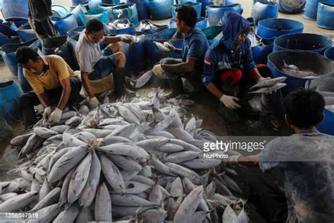 107 Muara Baru Port Stock Photos, High-Res Pictures, and Images - Getty ...