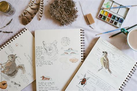 "A Collection Of Nature Journals And Supplies" by Stocksy Contributor ...