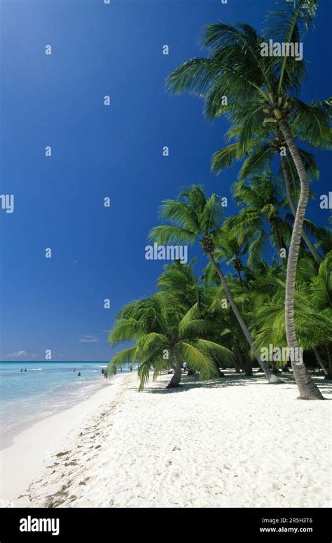 Beach in Playa Bavaro, Punta Cana, Dominican Republic, Caribbean Stock Photo - Alamy