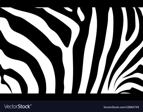 Zebra skin Royalty Free Vector Image - VectorStock