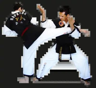 Hapkido is a hybrid Martial Art that uses circular techniques - Martial Devotee